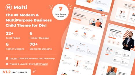 Divi by Elegant Themes pic